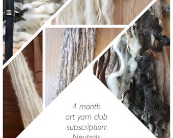 Art yarn mystery club subscription - "neutrals", monthly subscription, surprise handspun
