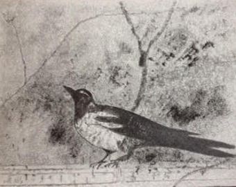 original pencil drawing of Pompeii bird (3)