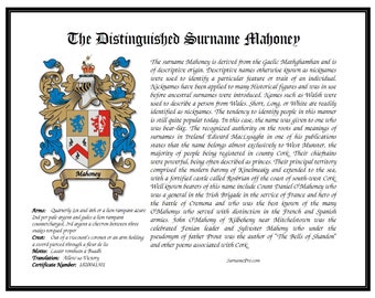 LS coat of arms family crest design last name origin surname meaning name history and heraldry plus geneology custom print and last name.