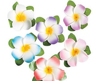 Plumeria Flower Hair Clips