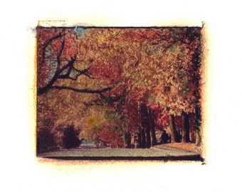 S.E. Tolman Street - Archival Print of an Original Polaroid Transfer, Signed Limited Edition 8x10 Matted