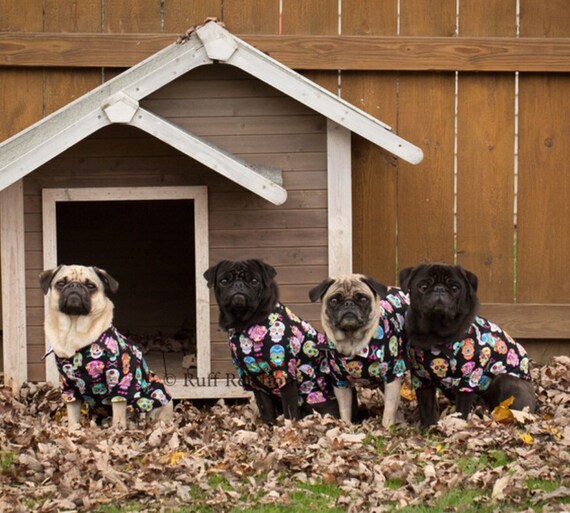 Dog clothes Collared button up shirt you pick the fabric