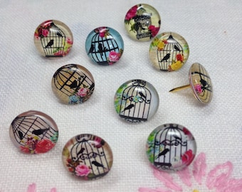 Decorative Push Pins, Drawing Pins, Birdcage Push Pins, Thumbtacks, Cork Board Pins, Birdcage Drawing Pins,Teachers Gift