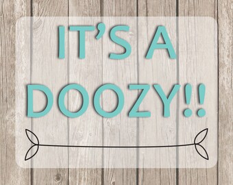 SALE- DOOZY Grab Bag Planner Stickers, Oopsie Planner Stickers, for use with Erin Condren Planner, Functional Stickers, Filofax,