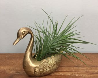 Brass Swan Planter - Boho Jungalow Indoor Garden Home Decor For Air Plants or Succulents