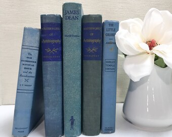 Vintage Books, Blue Books, Shelf Decor, Blue Home Decor, Books for Shelf Decor