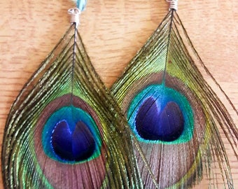 Peacock feather earrings and glass bead
