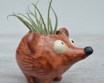 Hedgehog Planter / Air Plant Holder