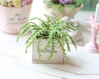 Dollhouse Miniature Plants - Green Fern in Shabby Pot