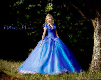 Cinderella Dress Adult