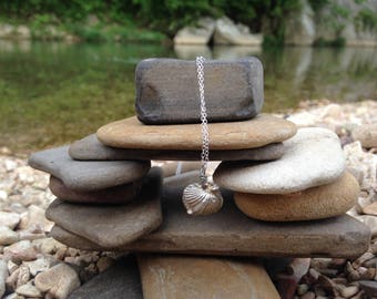 Fine Silver Ozark Brachiopod Fossil Necklace on Silver Chain