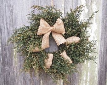 BURLAP and ANNIE Wreath - Small Green Herbal Sweet Annie Wreath - Country Farmhouse Style - Fragrant and Simple