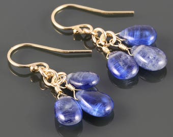 Kyanite Cluster Earrings. Cornflower Blue. Yellow Gold Filled Ear Wires. Genuine Gemstones. 3 Stone Earrings. s17e088