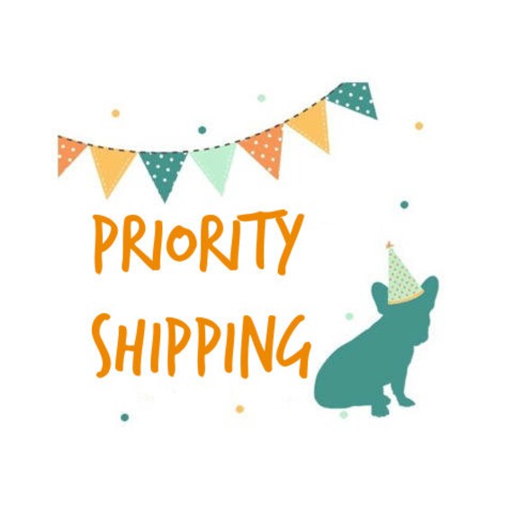 Priority Shipping Upgrade - Domestic Only