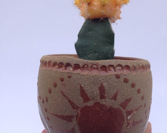 Natural clay succulent pot - Small Sun planter