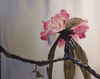 This pink cherry blossom branch