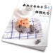 40 Amigurumi cat patterns - crochet cat - amigurumi pattern - japanese amigurumi book - ebook - PDF - instant download