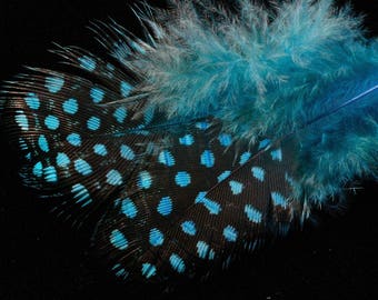 20 feathers fowl speckled turquoise making jewelry, scrapbooking