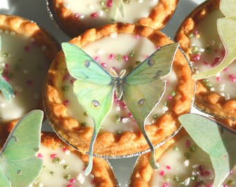 Edible Luna Moths Butterflies 3D Wafer Paper Fantasy Wedding Cake Decoration Lime Green Fairy Actias Moth Birthday Cookie Cupcake Topper RTD
