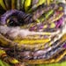 Goughlash - mixed fiber corespun handspun art yarn - super bulky. 68 yards, 5.5 ounces