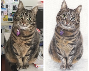 Custom pet portrait. Custom cat portrait. Dog portrait. Custom pet painting. Large custom painting. Commission painting. 5x7 / 8x10 / 11x14