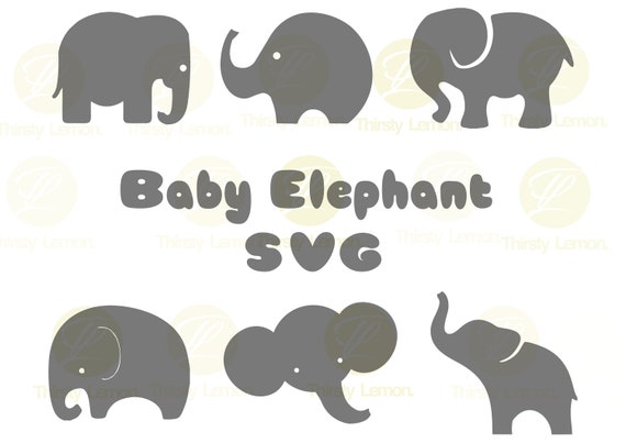 Download Cute Baby Elephant SVG Bundle, Elephant SVG, Baby Elephant ...