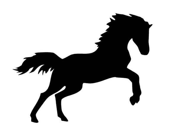 Download Horse vector SVG and PNG Digital Download horse vector