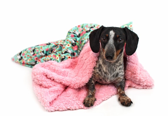 Boho inspired pet products - dog edition  Cute dog toys, Girl dog  accessories, Puppy dog beds