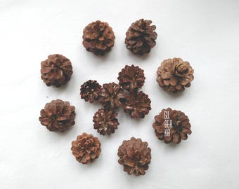Pine cones natural, Organic decoration, Natural Woodland decor, Brown pine cone favors, Wedding decor, Rustic, Wreath, Holiday