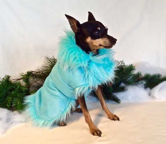 Image result for dogs in glamorous clothes
