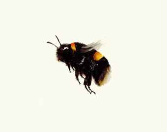 Bumble bee art | Etsy