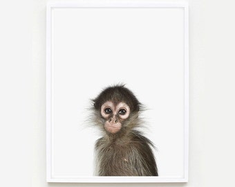 Baby Animal Nursery Art Print. Baby Monkey Little Darling. Safari Animal Print. Animal Wall Art. Animal Nursery Decor. Baby Animal Photo.