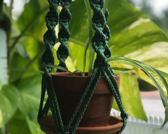 Sea green plant hanger