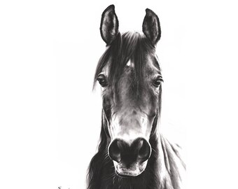 HORSE OIL PAINTING - horse print, equestrian gifts, horse wall art, black and white prints, black stallion, horse painting, horse artwork
