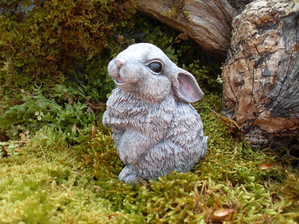 20 Bunny Garden Decor Pictures - Best Image Home Interior - orai.us 20 Bunny Garden Decor Pictures - Best Image Home Interior - orai.us