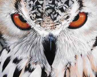 Owl Print - Mounted