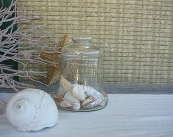Vintage Apothecary Jar, Glass Display Jars, Cottage Decor, Shabby Chic