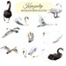 Watercolor Swan Collection- Commercial and Personal Use
