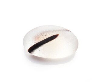 Collectors Seaglass - Flecked Multi JulyJ03 - from Seaham beach, UK