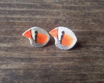 Zebra finch earrings finch jewelry bird earrings