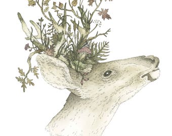 Autumn Buck ~ Giclee Print
