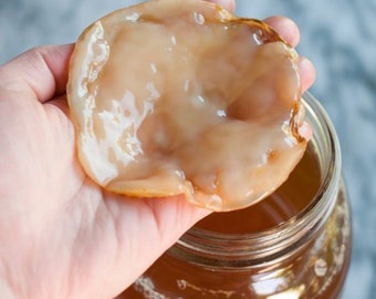 Fresh, Live Ugly Kombucha Scoby