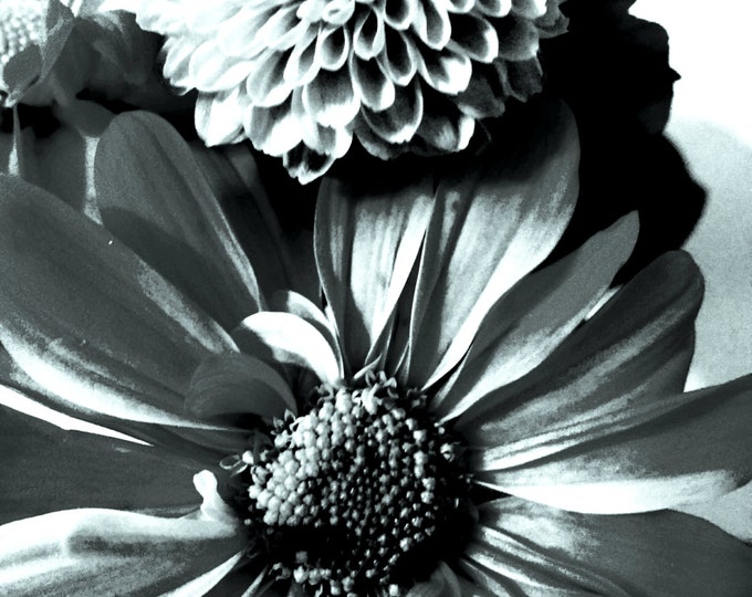 4x6 postcard print spring fling flower photography print by 4x6 postcard print spring fling flower photography print by