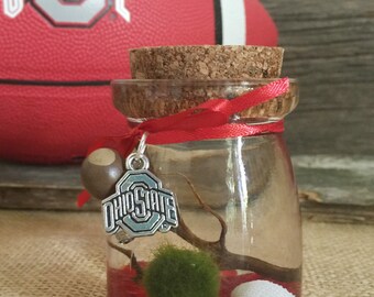 GO BUCKEYES!! Marimo Cork Jar Aquarium by Zentilly©