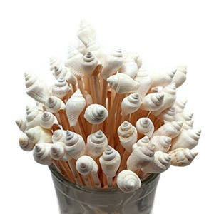 100 White Seashell Toothpicks for Beach Wedding Shell Tiki Bar Parties