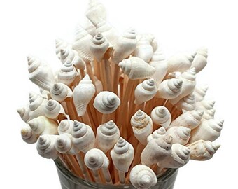100 White Seashell Toothpicks for Beach Wedding Shell Tiki Bar Parties