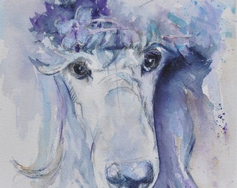 Standard Poodle Fine Art Print