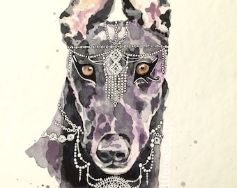 Anubis Greyhound Watercolour
