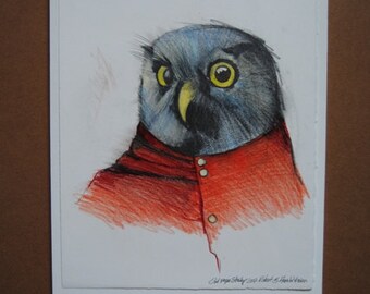 Owl Pope Study Drawing