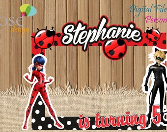 Miraculous Ladybug Photo Booth / Miraculous Ladybug Party / Birthday Backdrops / Birthday Photo Booths / Ladybug Super Cat / Selfie Frame